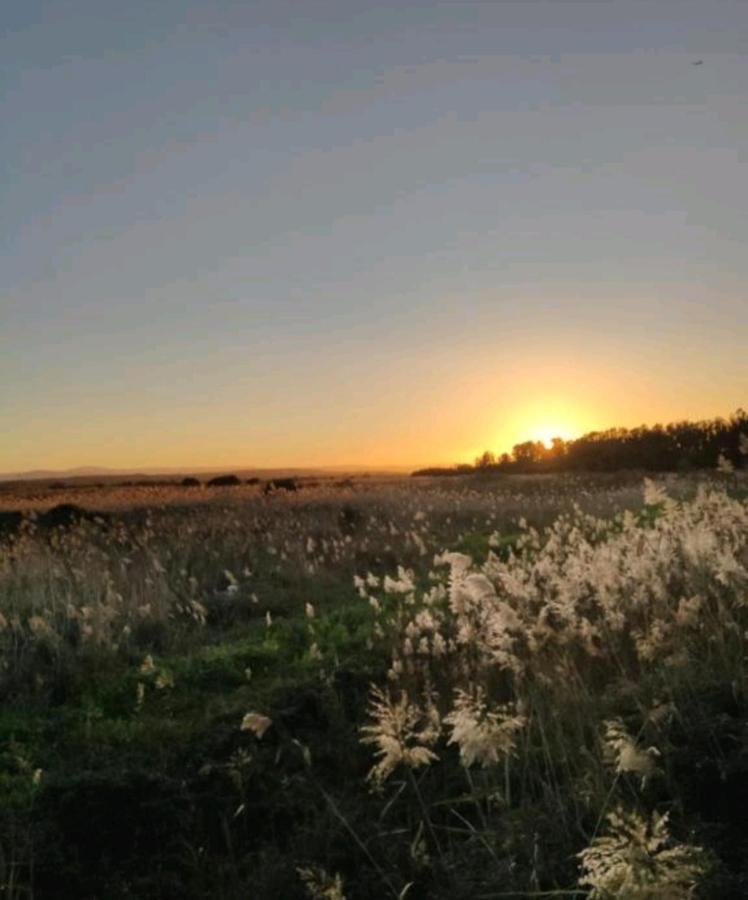 Villa Francesca Katanya Dış mekan fotoğraf